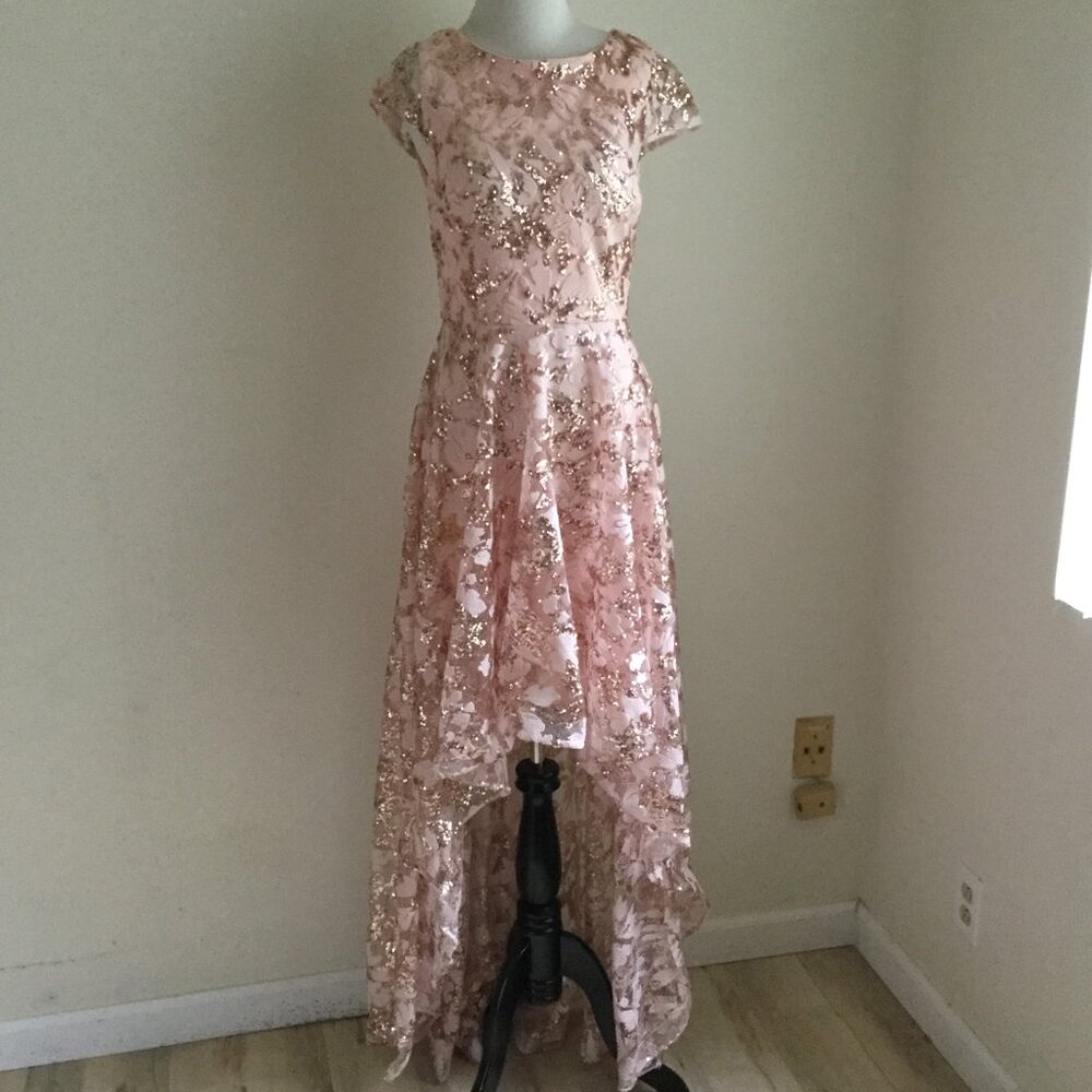 Eliza J. Sequin Peachy Pink Embroidered Sequin Gown 6 - Picture 12 of 13